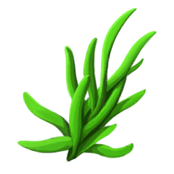 Seaweed.png