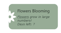 Kwitnące kwiaty Podczas tego wydarzenia wymienione rodzaje kwiatów będą rosły w dużych ilościach, jeśli jest na nie sezon. Jeśli nie ma na nie sezonu, można użyć szklarni.