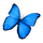 Blue butterfly.png
