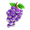 Frost grapes.png