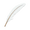 White feather.png