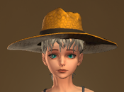 Villager Straw Hat