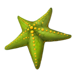Starfish gold.png