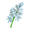 Oceans squill.png
