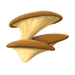 Mushrooms/pl