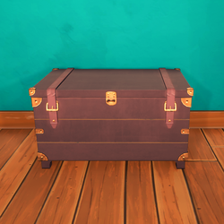 Chest Image.png