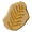 Fern fossil.png