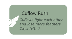Cuflow Rush This is a great time to grab feathers!