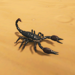 Scorpion Image.png