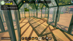 Large Greenhouse: Interior