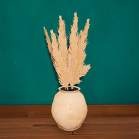Large Vase of Pampas Grass 180