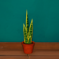 Small Plant in a Pot 5 50