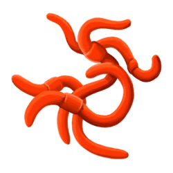 Red worms.png