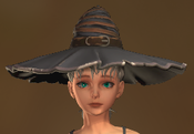 Hedge Witch Hat